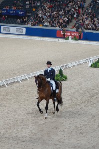 Kristian von Krusenstierna - Biggles