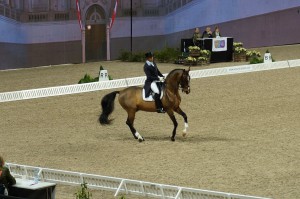 Kristian von Krusenstierna - Biggles