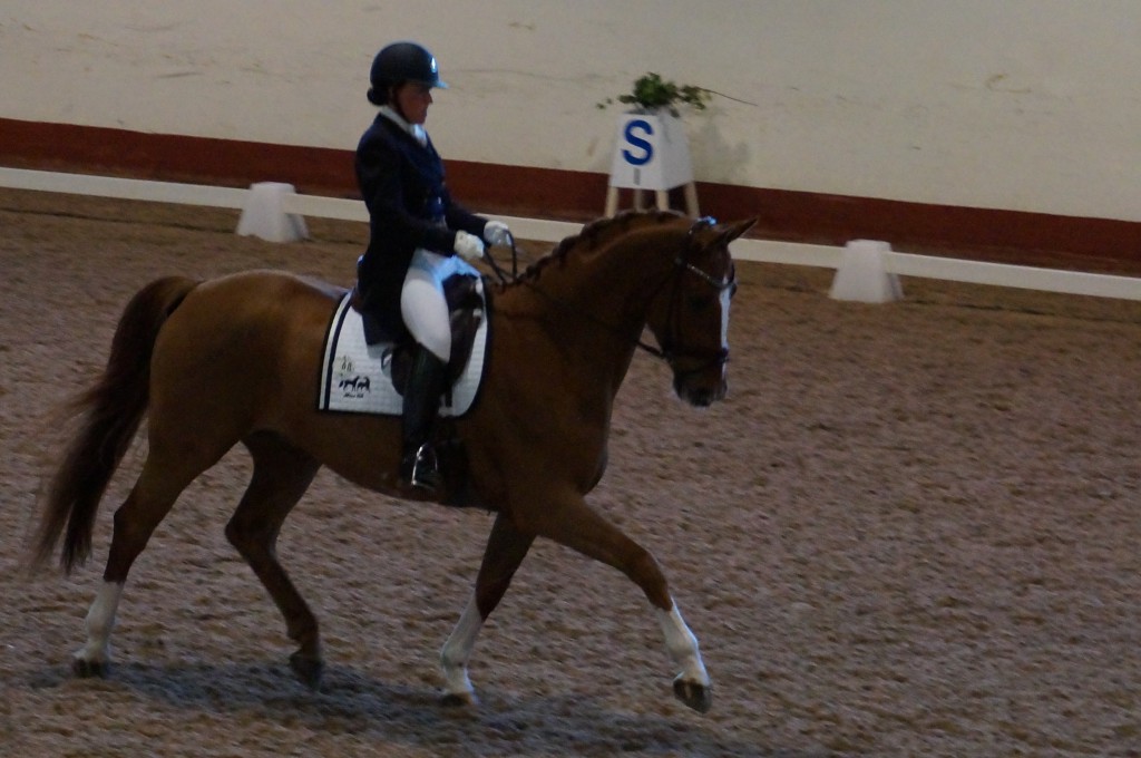 Terese - Don Sanchez